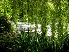 Le bassin aux nymphéas à Giverny